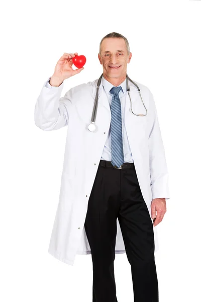 成熟男性医生抱着心脏模型 — 图库照片