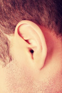 İnsan adamın kulağını