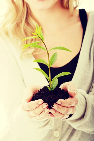 Vrouw met plant en vuil in de hand — Stockfoto