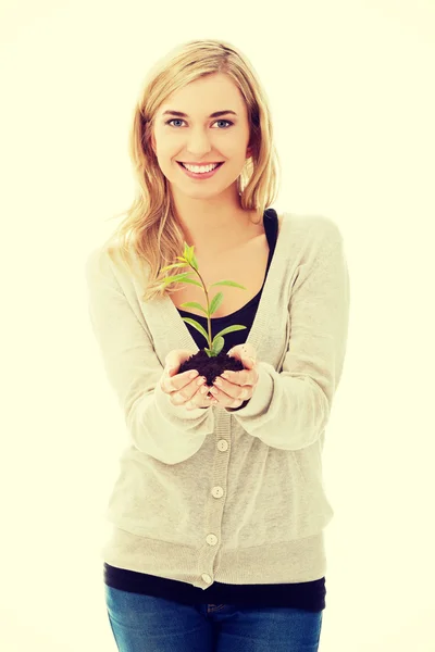 Mulher com planta e sujeira na mão — Fotografia de Stock