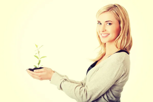 Mulher com planta e sujeira na mão — Fotografia de Stock