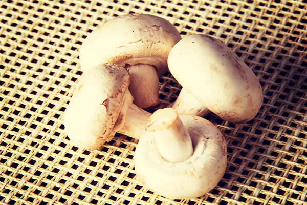 Свежие грибы на столе — стоковое фото