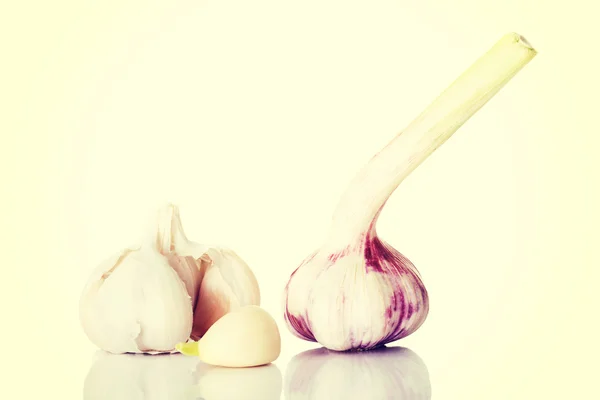 Roher weißer Knoblauch — Stockfoto