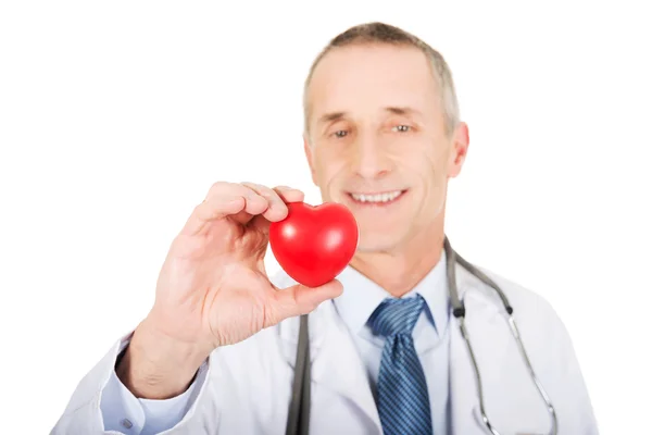Mature doctor holding heart model — Stock Photo, Image