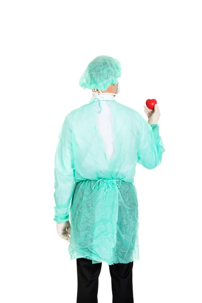 Erkek doktor kalp modeli holding — Stok fotoğraf