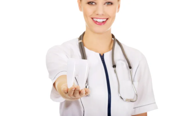 Dentiste femme avec modèle de dent . — Photo