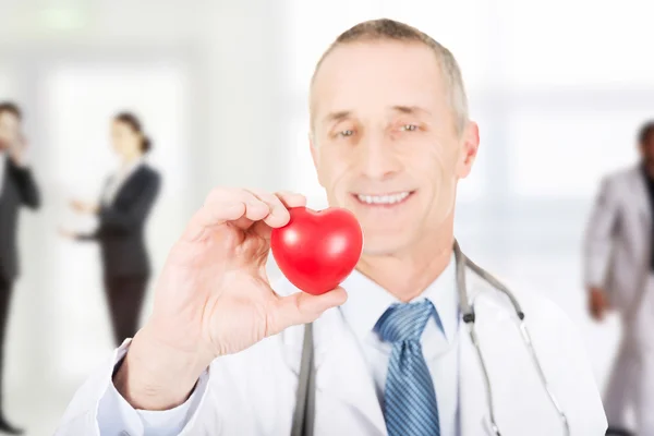 Doctor holding a heart. — Stock Photo, Image