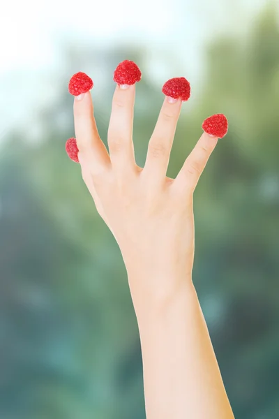 Mão com framboesas em dedos . — Fotografia de Stock