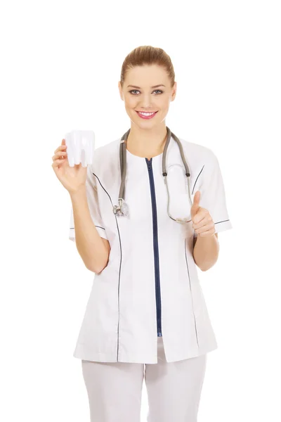 Female dentist holding a tooth model. — Stock Photo, Image