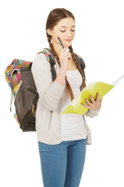 Ragazzo premuroso con lo zaino della scuola . — Foto Stock