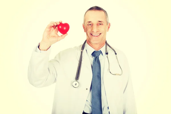 成熟男性医生抱着心脏模型 — 图库照片