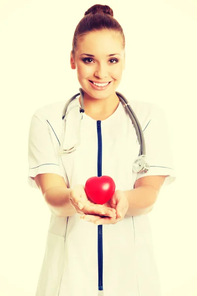 Medico femminile in possesso di modello cuore — Foto Stock