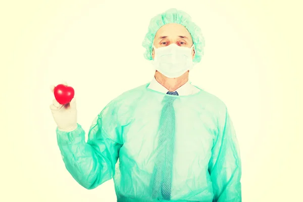 Male doctor holding heart model — Stock Photo, Image