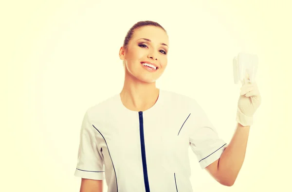 Retrato del dentista femenino sosteniendo un modelo de diente —  Fotos de Stock
