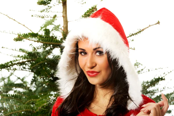 Mikulás nő karácsonyfa — Stock Fotó