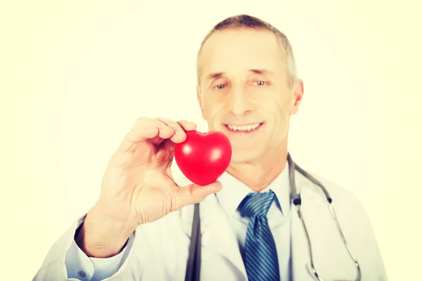 Mature male doctor holding heart model — Stock Photo, Image