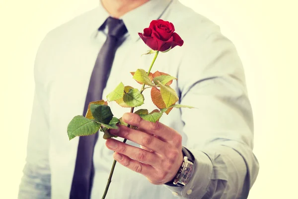 Handsome man holding red rose. — Stock Photo, Image