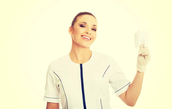 Portrait of female dentist holding a tooth model — Stock Photo, Image