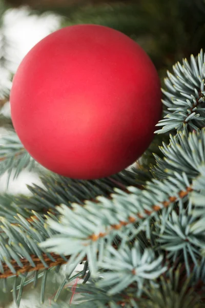 Uma bola de Natal sobre a árvore . — Fotografia de Stock