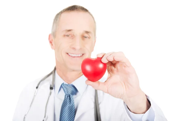 Mature doctor holding heart model — Stock Photo, Image