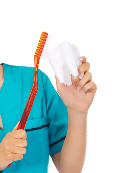 Mujer joven dentista o enfermera con cepillo de dientes de gran tamaño — Foto de Stock