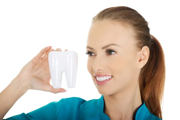 Dentista feminina segurando um modelo de dente . — Fotografia de Stock