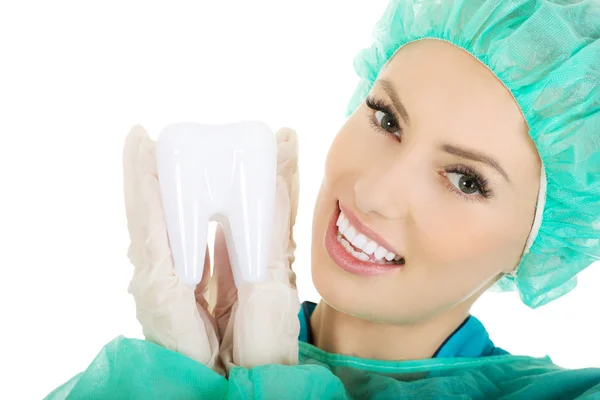 Dentista femminile con un modello di dente . — Foto Stock