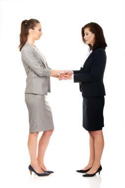 Ellerini bir arada tutan iki iş kadınları.