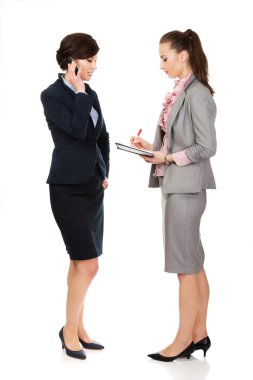 İki businesswomans birbirinden ile tartışıyor.