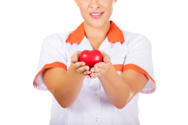 Genç kadın doktor veya hemşire oyuncak kalp tutan