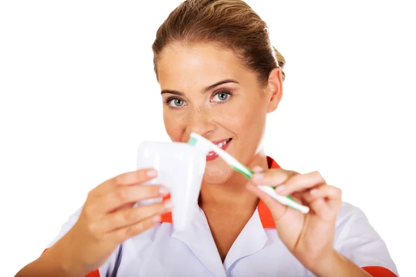 Dentista con cepillo de dientes y modelo de dientes — Foto de Stock