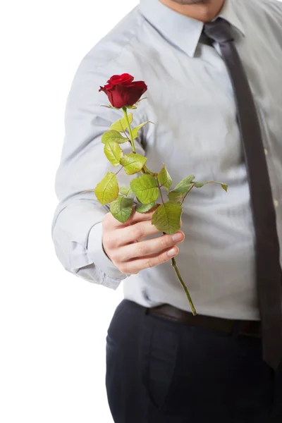 Un bel homme tenant une rose rouge — Photo