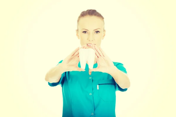 Dentista feminina segurando um modelo de dente . — Fotografia de Stock