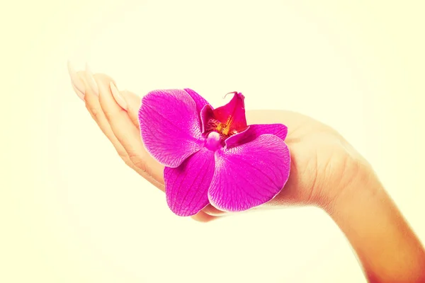 Mão feminina com pétala de orquídea roxa — Fotografia de Stock