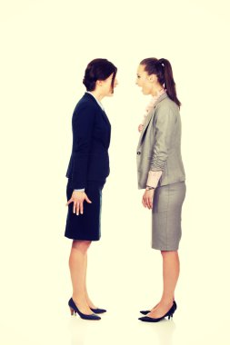 Kızgın businesswomans birbirine çığlık.