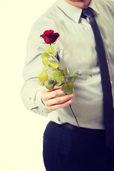 Hombre guapo sosteniendo rosa roja . — Foto de Stock