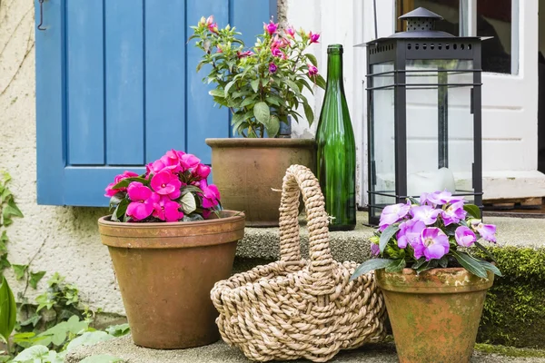 Ancora vivere con vasi di fiori — Foto Stock