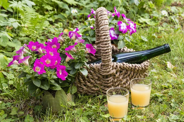Bottle and glass in a garden — Stock Photo, Image