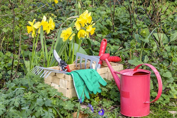 Jardinagem Com Ancinho Tesoura Regador Luvas Jardim Primavera — Fotografia de Stock