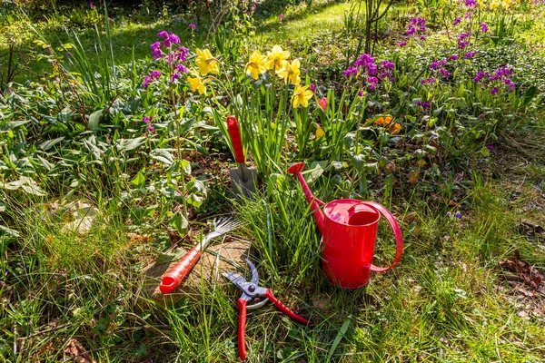 春に庭に熊手 はさみ 散水缶で庭を作る — ストック写真