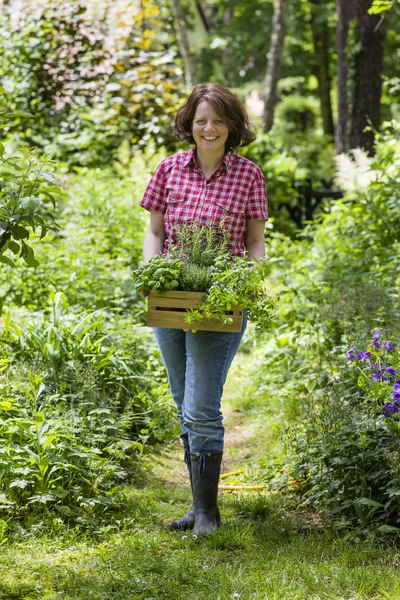 Young woman with herbs in a — Stock Photo, Image