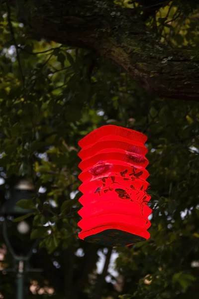 Paper lamp in a tree — Stock Photo, Image