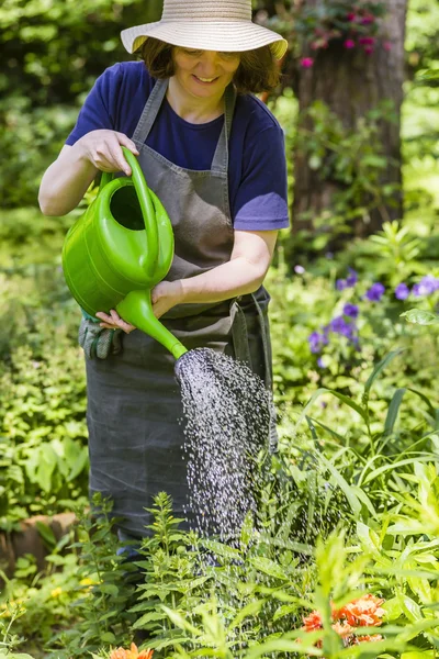 Mujer regando flores —  Fotos de Stock