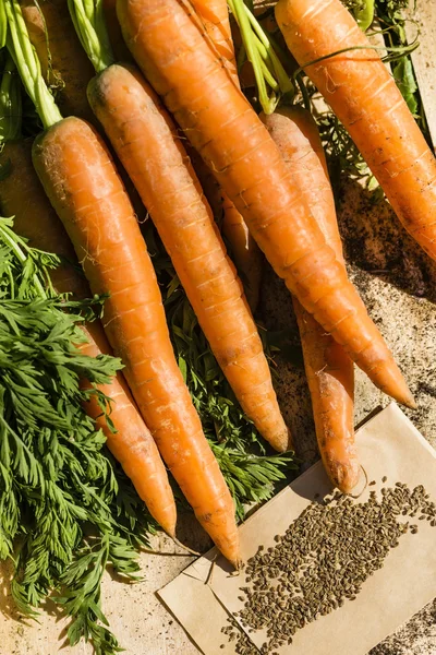 Zanahorias y semillas —  Fotos de Stock