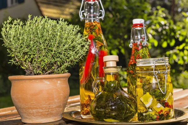 Herbs And Sheep Cheese In Oil — Stock Photo, Image