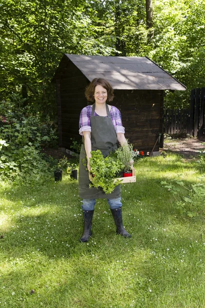 Mujer con hierbas en un jardín — Foto de Stock