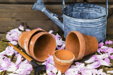 Natürmort çiçek pot ile