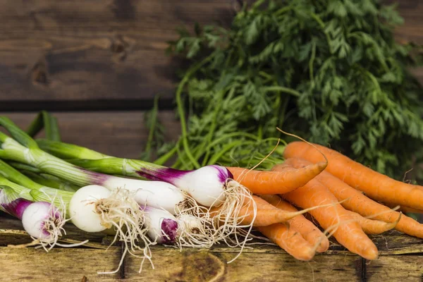 Wortelen en lente-uitjes in een tuin — Stockfoto