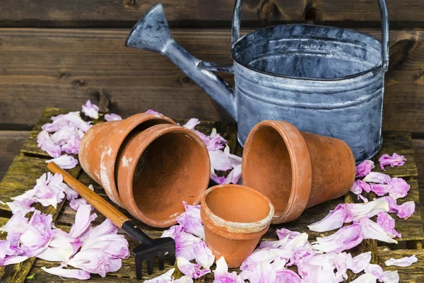 Vida imóvel com vaso de flores — Fotografia de Stock