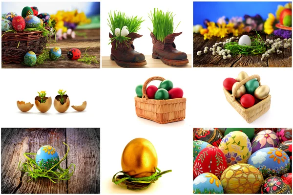 Raccolta uova di Pasqua — Foto Stock